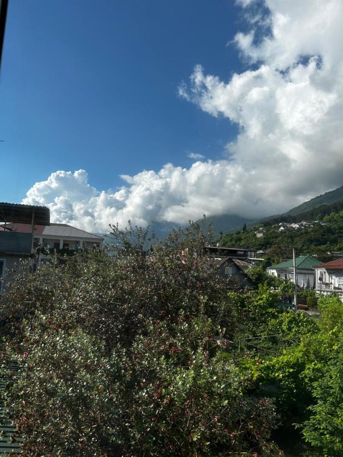 Na Shapsug Guest House Gagra Exterior foto